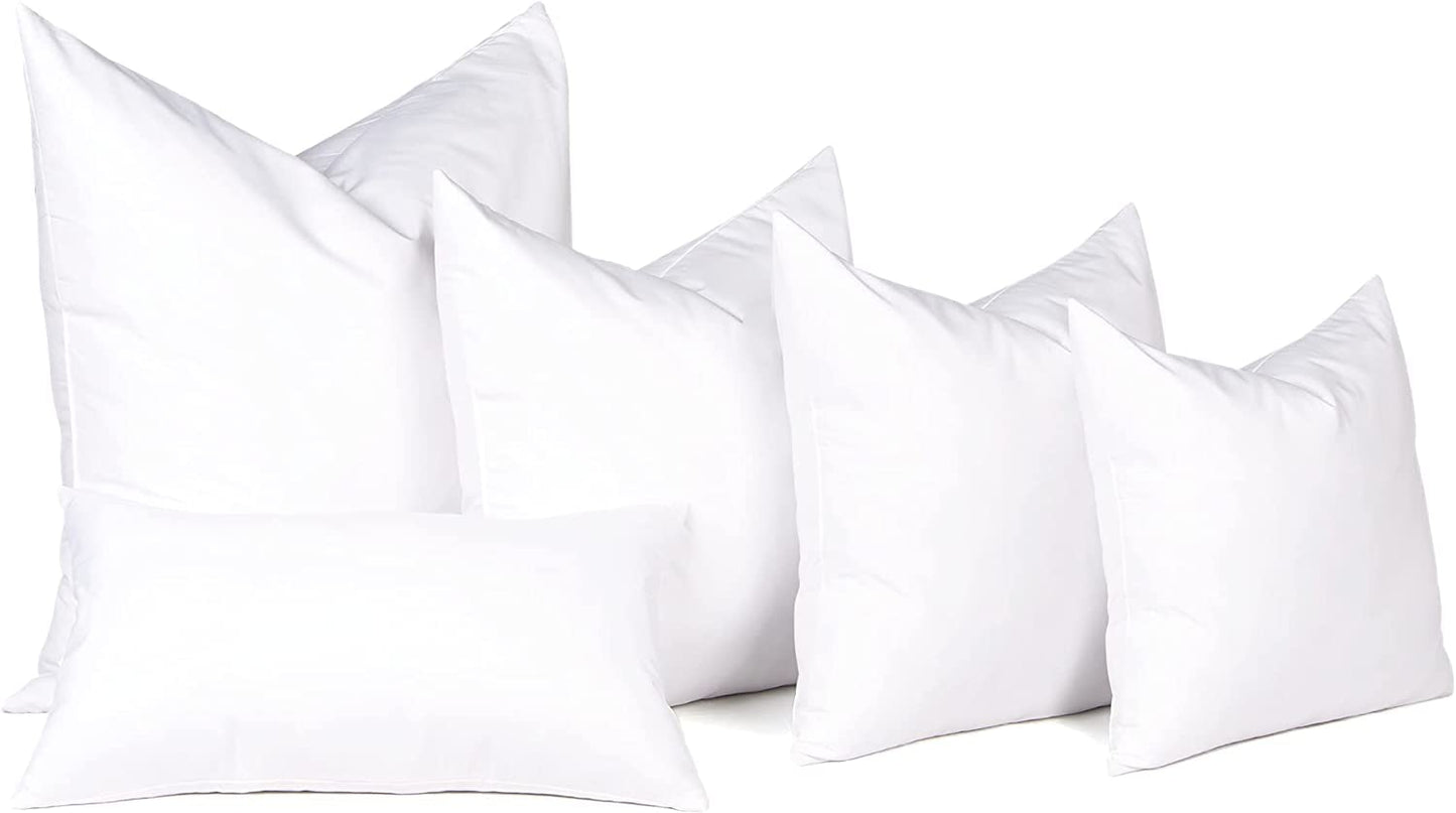 20x20 Pillow Inserts, 2-Pack
