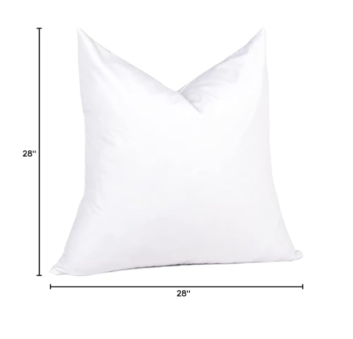 20x20 Pillow Inserts, 2-Pack