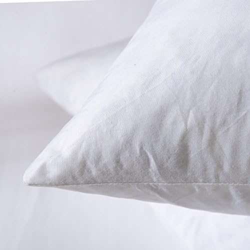 20x20 Pillow Inserts, 2-Pack