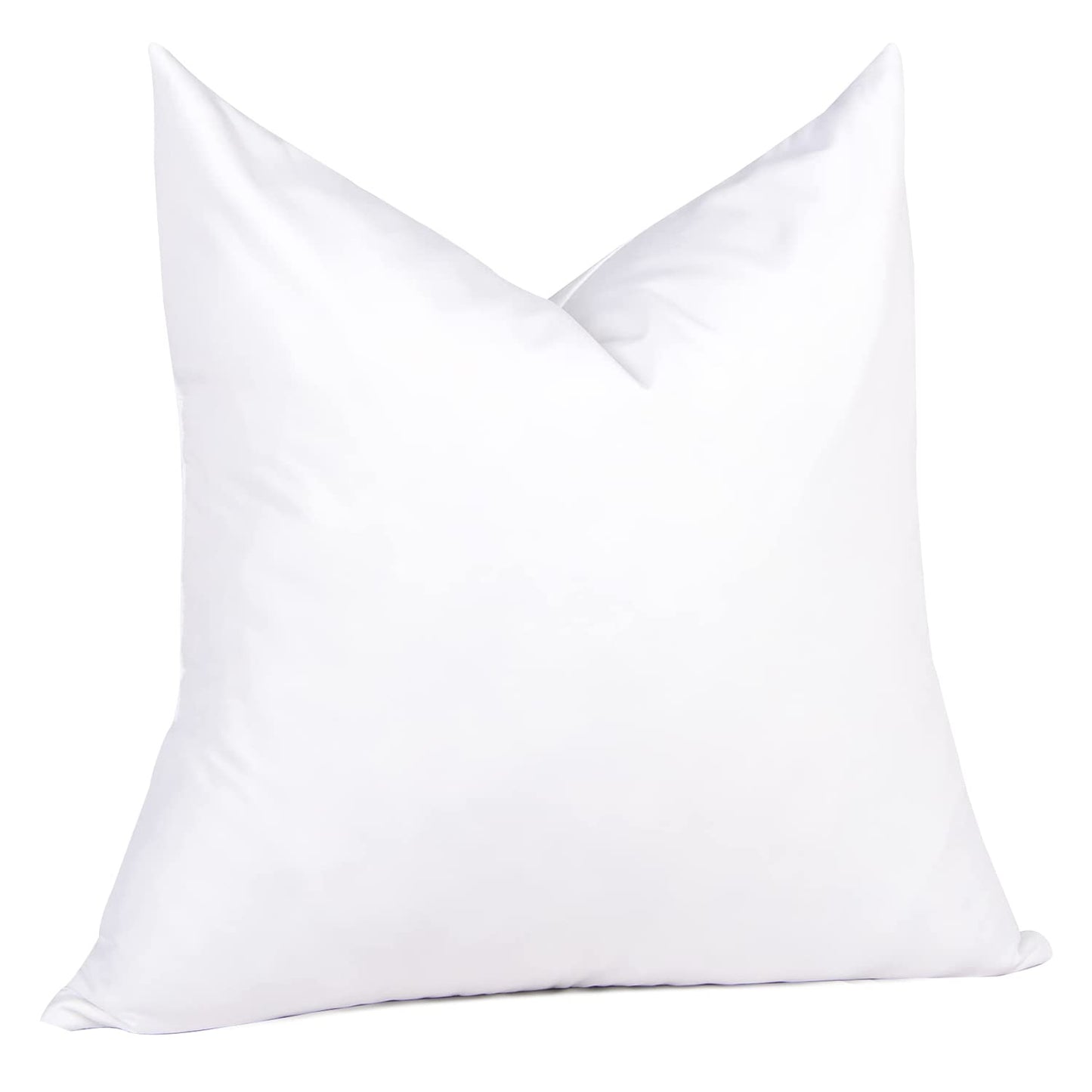 20x20 Pillow Inserts, 2-Pack