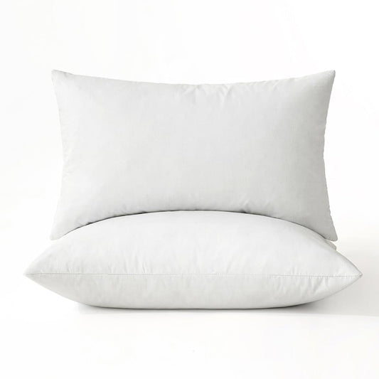 22x22 Pillow Inserts, 2-Pack