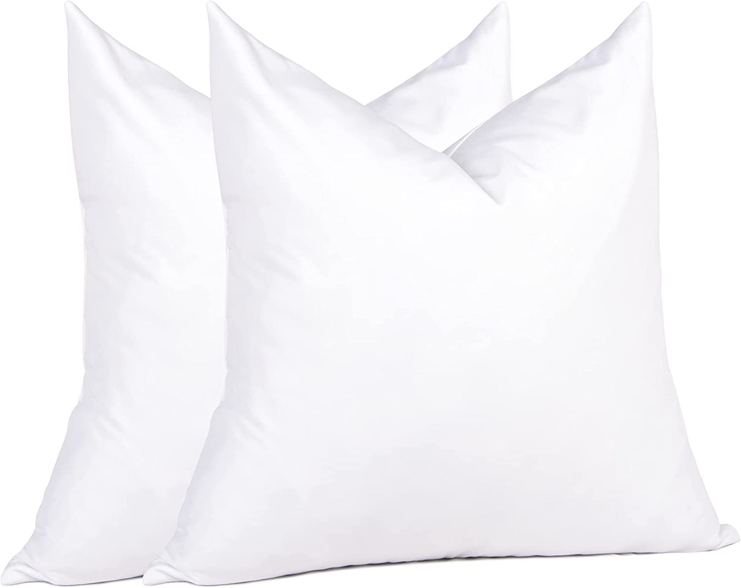 20x20 Pillow Inserts, 2-Pack