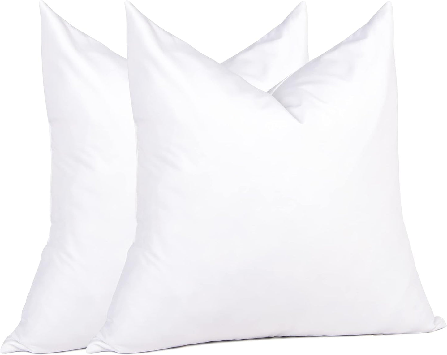 20x20 Pillow Inserts, 2-Pack