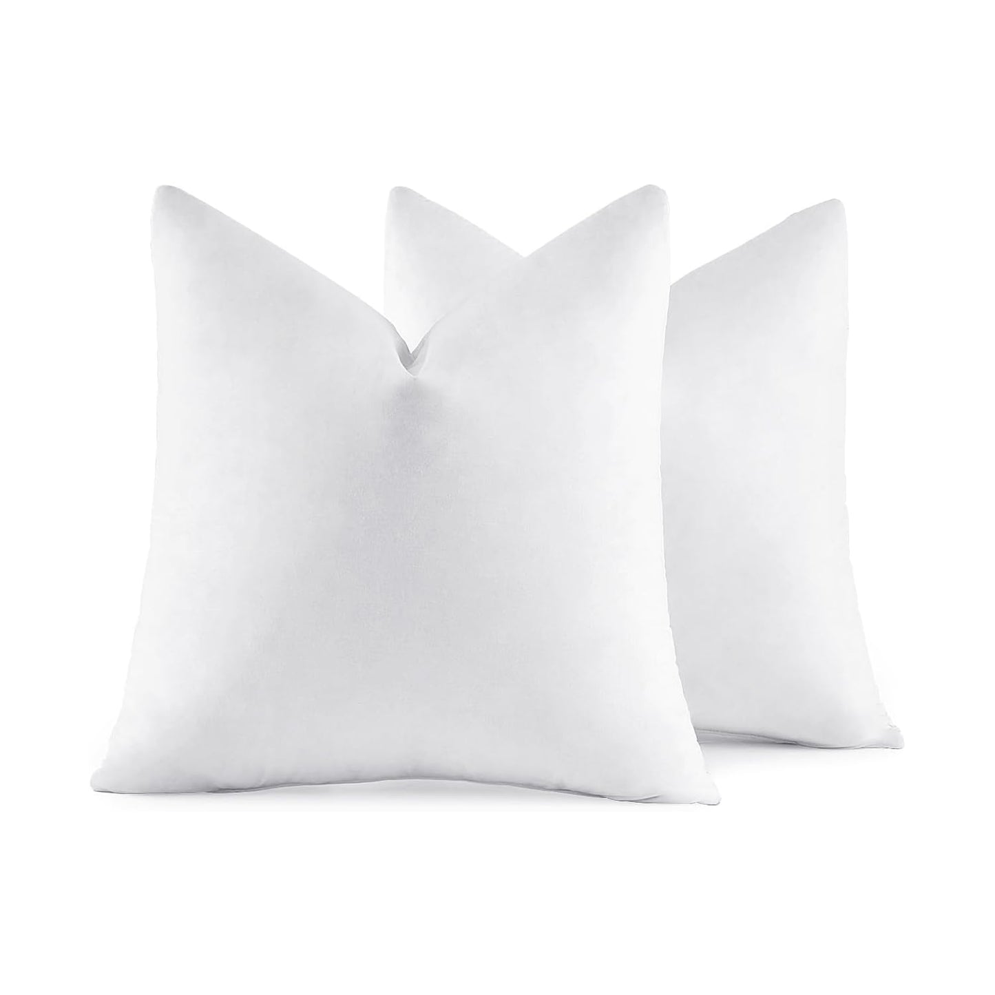 22x22 Pillow Inserts, 2-Pack