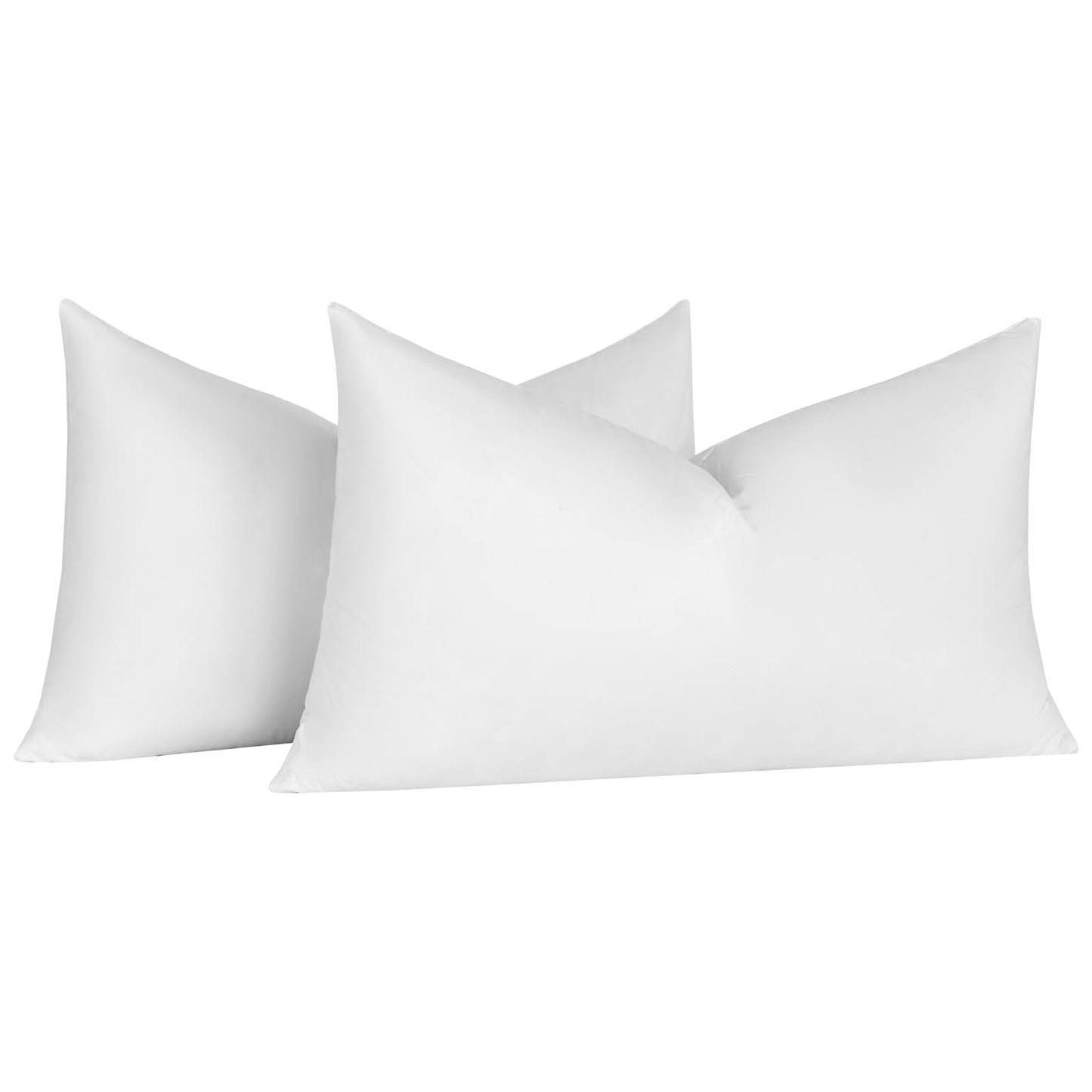 20x20 Pillow Inserts, 2-Pack