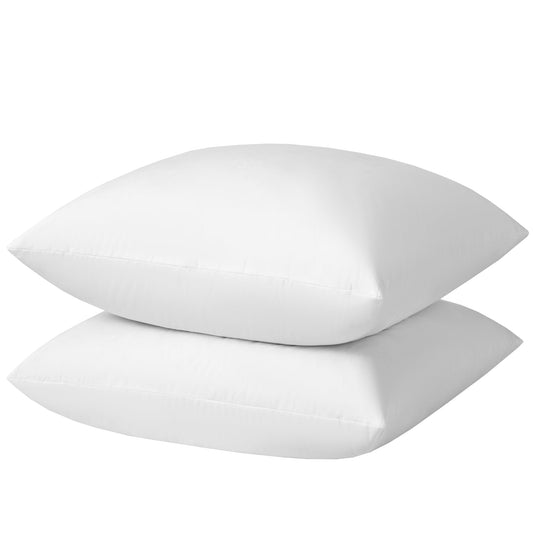 20x20 Pillow Inserts, 2-Pack