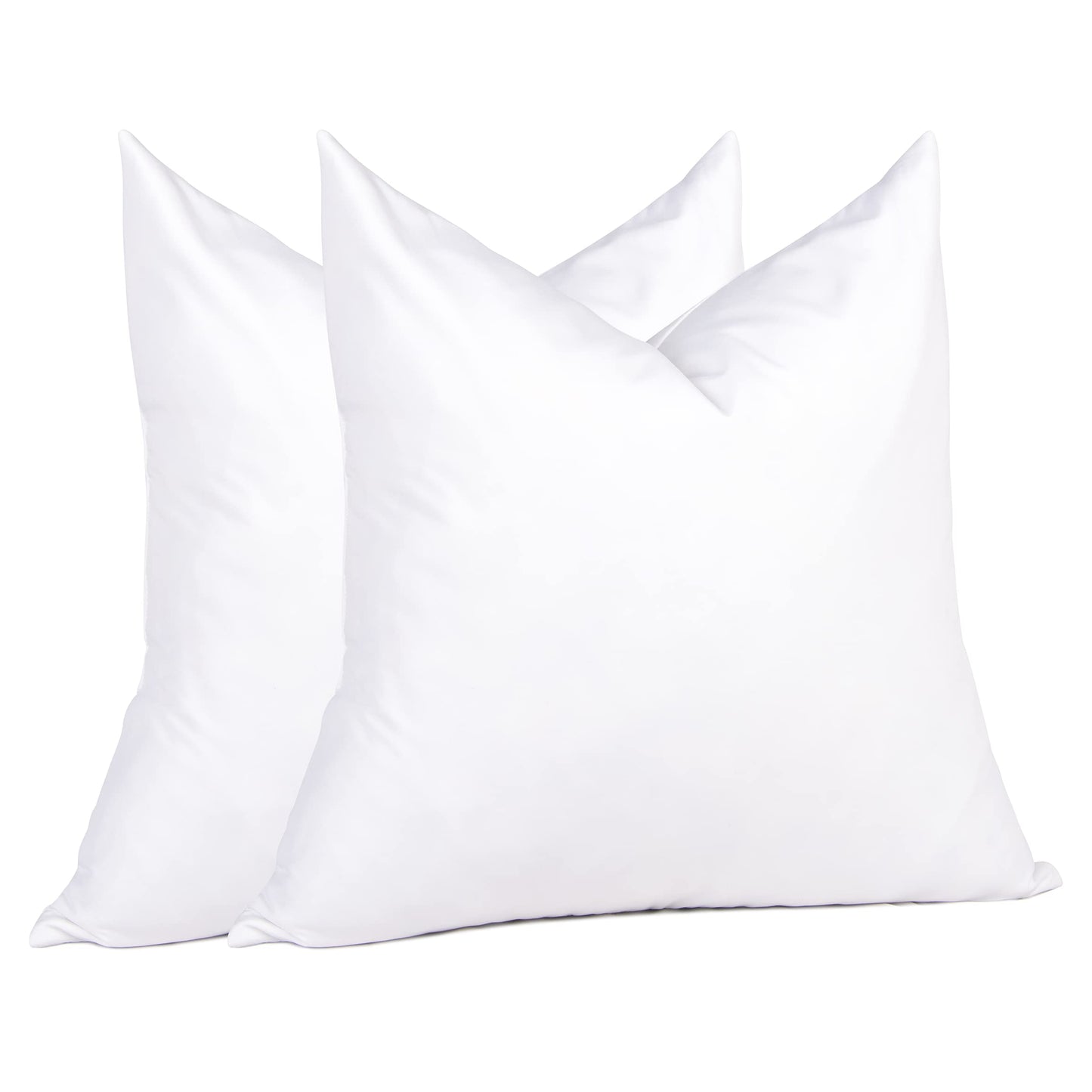 20x20 Pillow Inserts, 2-Pack