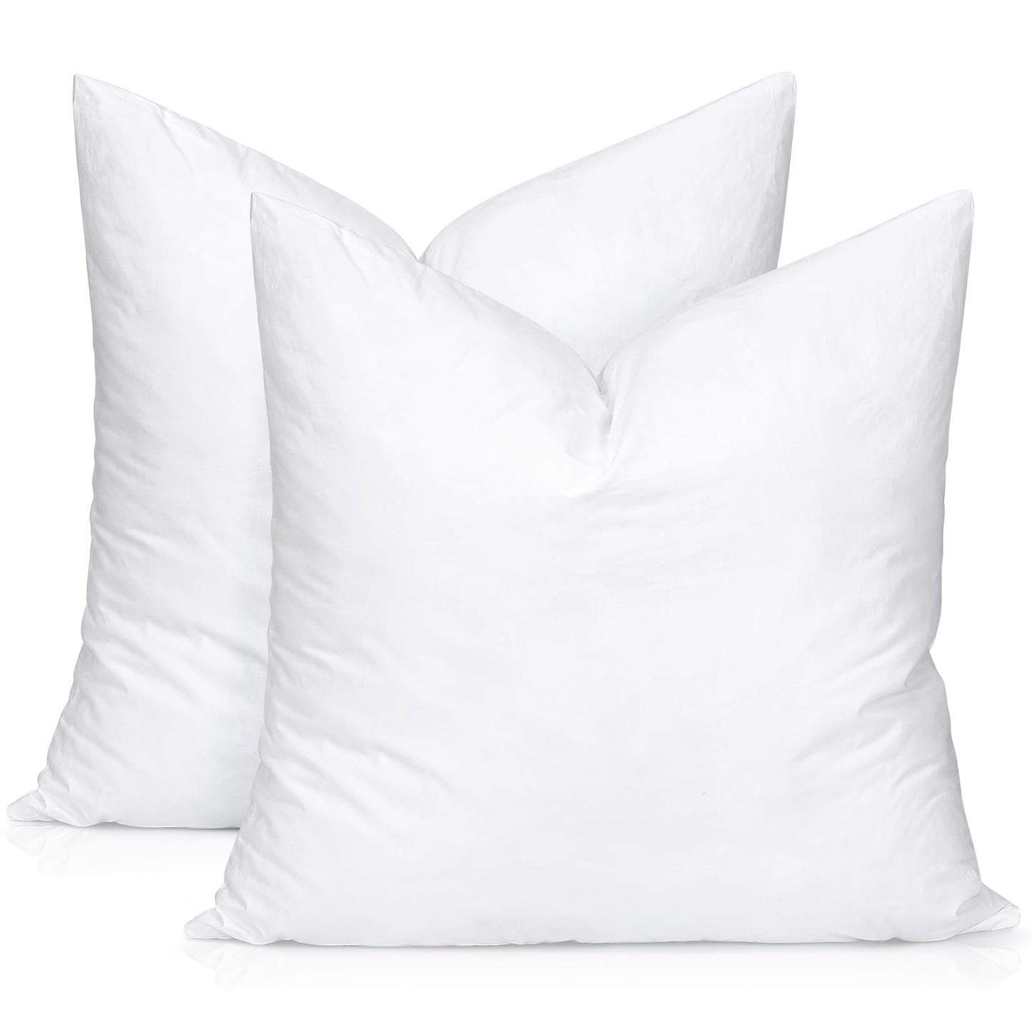 20x20 Pillow Inserts, 2-Pack