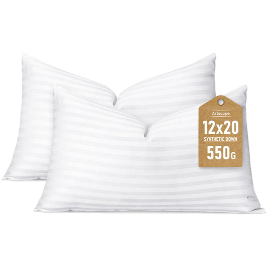 20x20 Pillow Inserts, 2-Pack