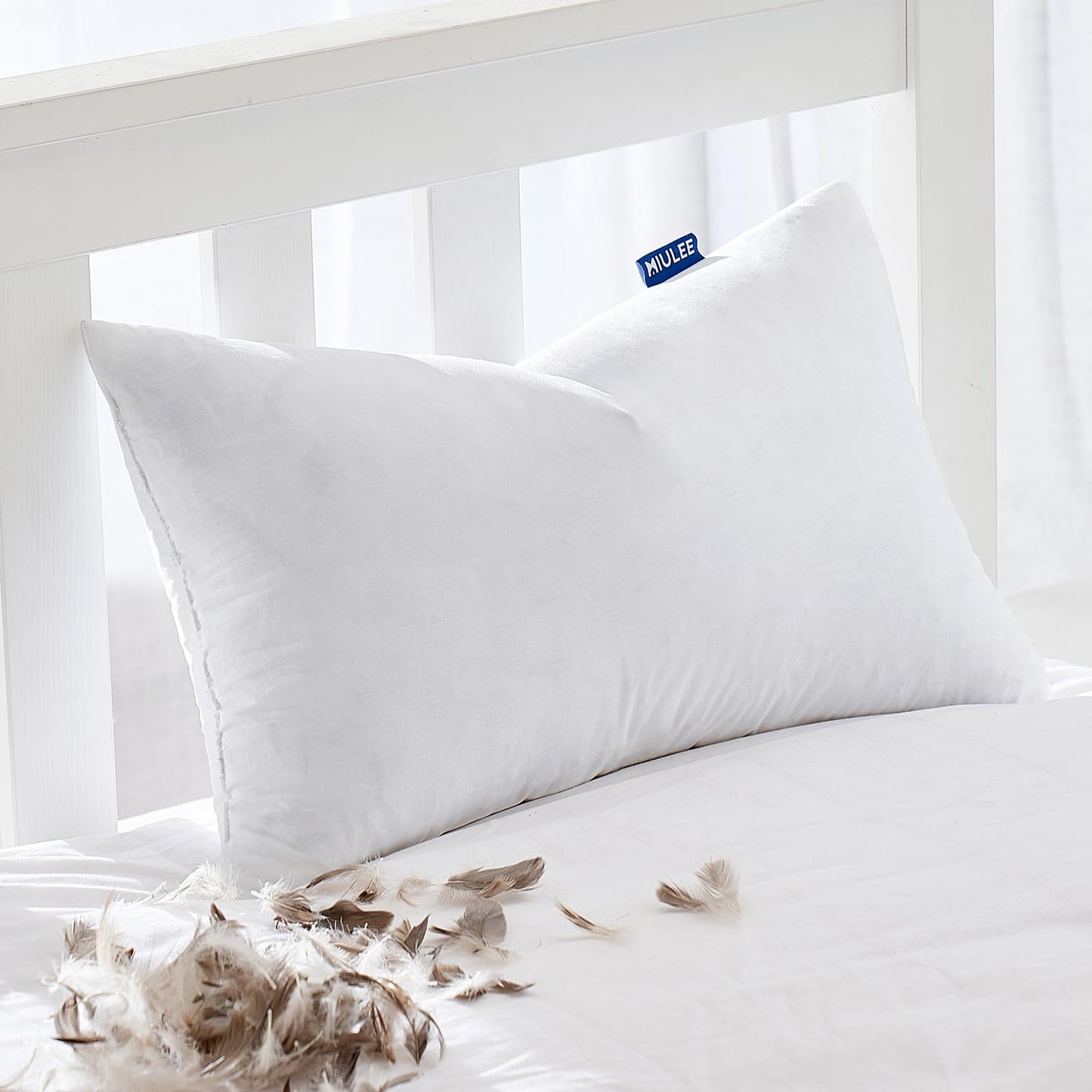 22x22 Pillow Inserts, 2-Pack