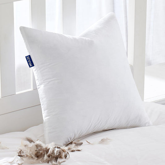 22x22 Pillow Inserts, 2-Pack