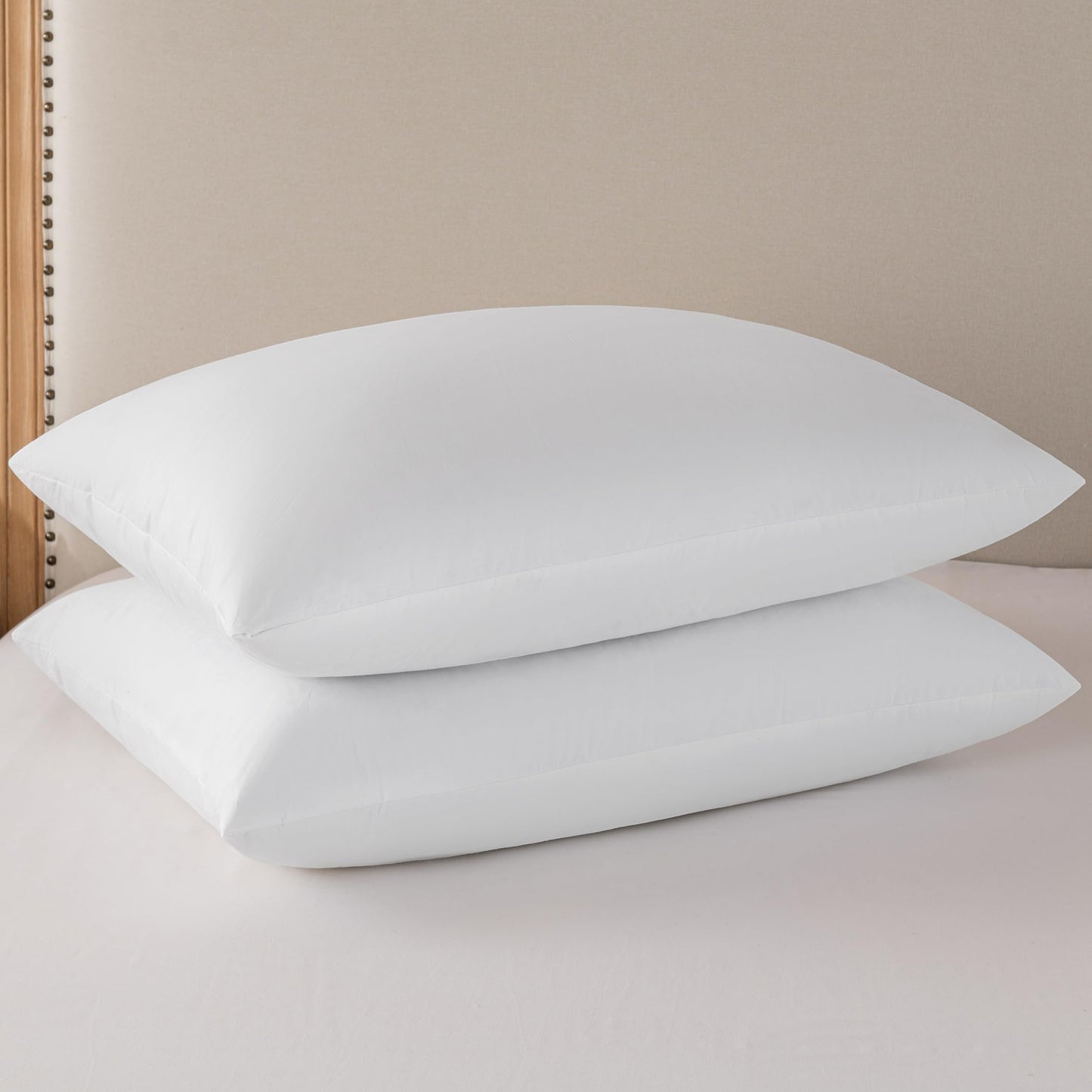 20x20 Pillow Inserts, 2-Pack
