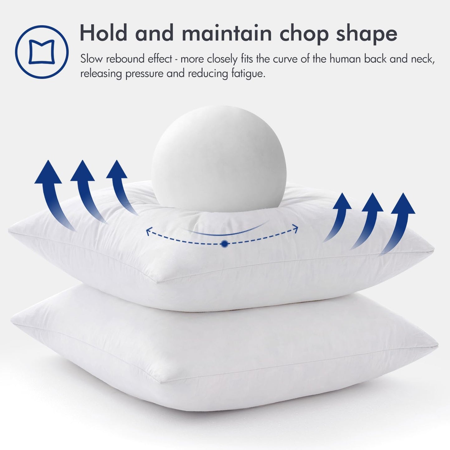 22x22 Pillow Inserts, 2-Pack