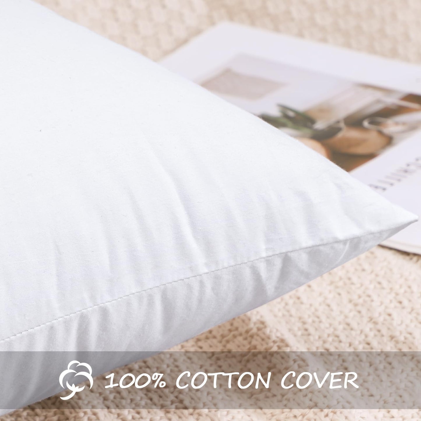20x20 Pillow Inserts, 2-Pack