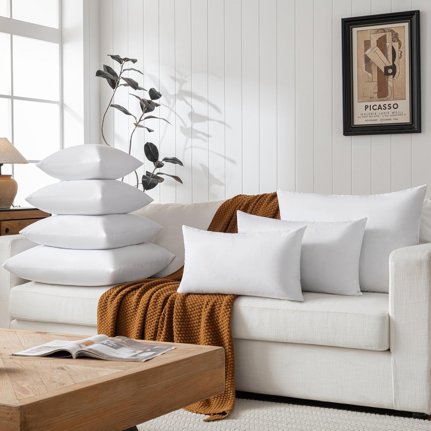 20x20 Pillow Inserts, 2-Pack