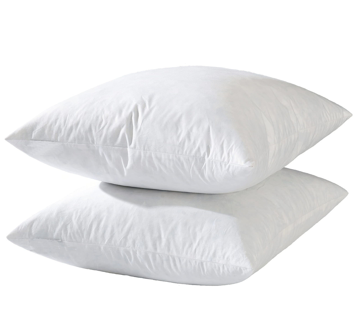20x20 Pillow Inserts, 2-Pack