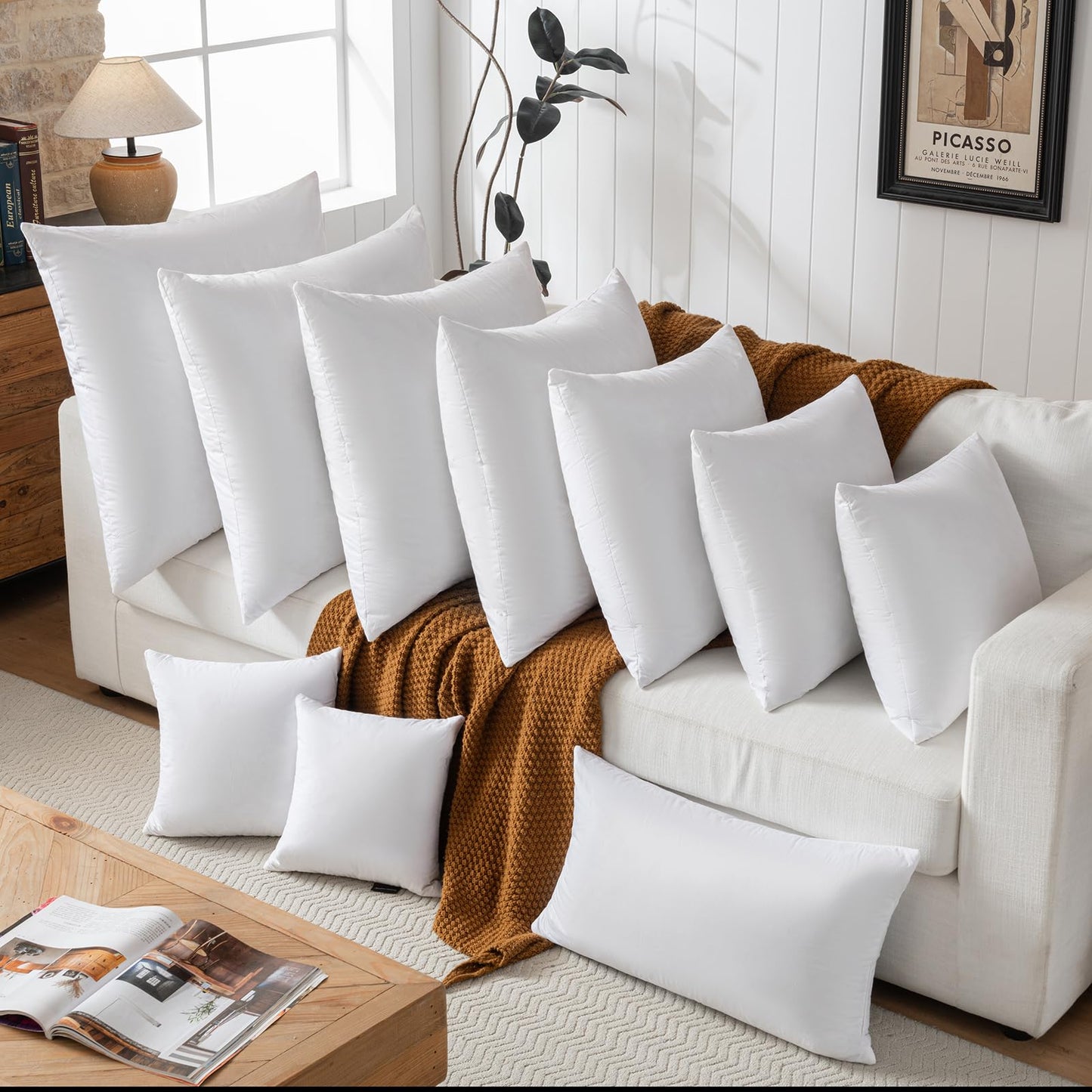 20x20 Pillow Inserts, 2-Pack