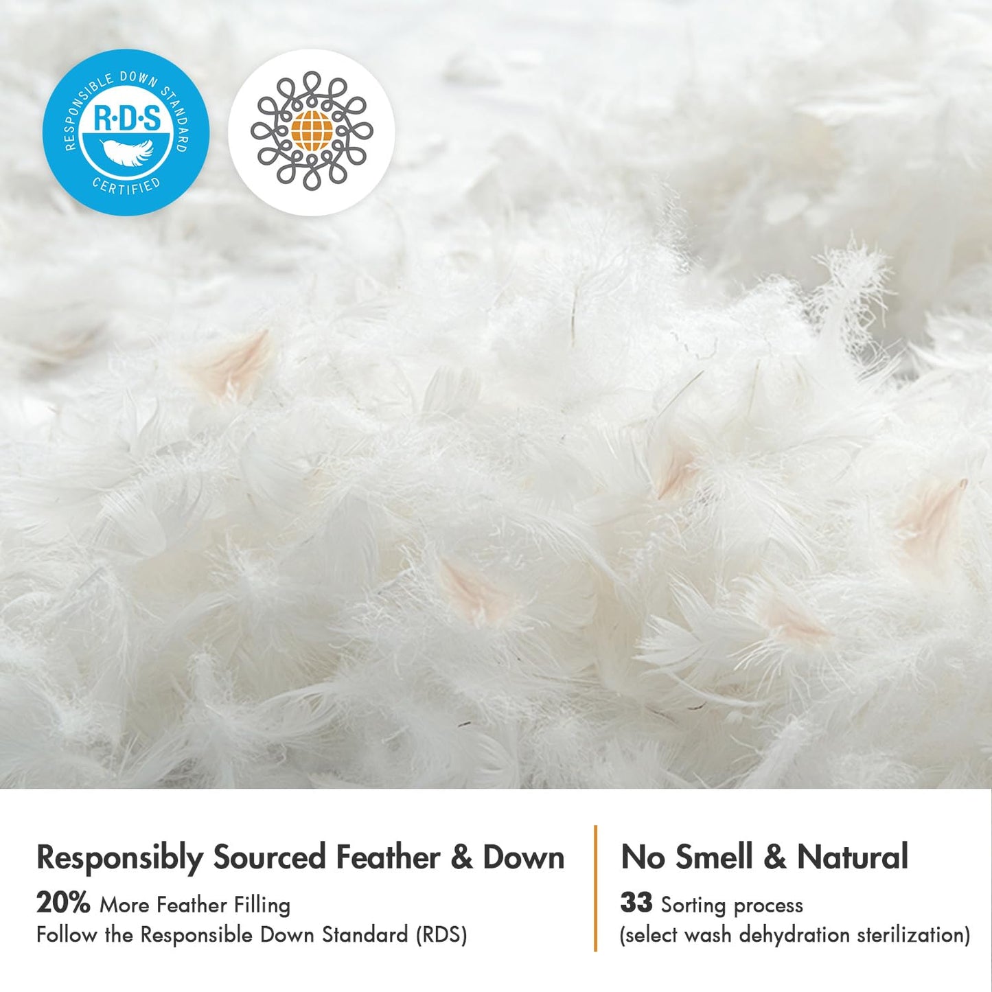 22x22 Pillow Inserts, 2-Pack