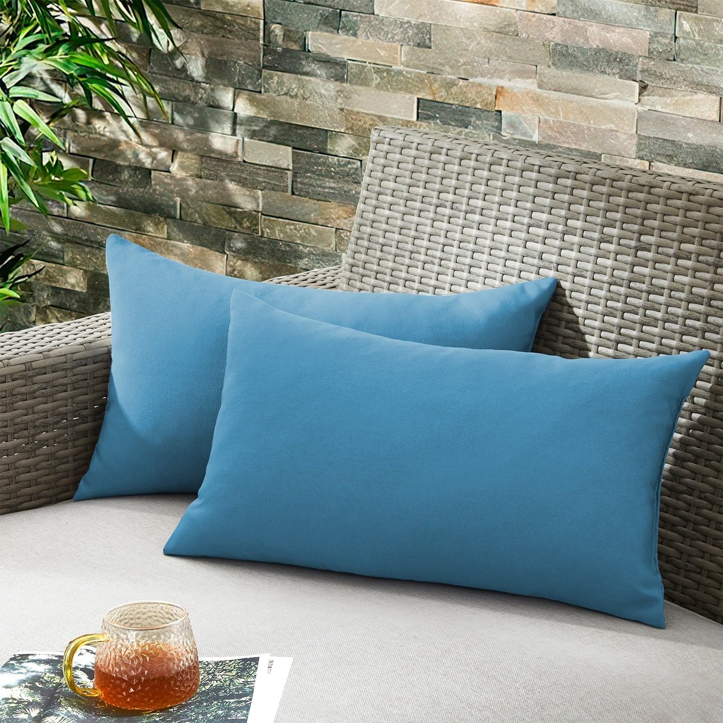 20x20 Pillow Inserts, 2-Pack