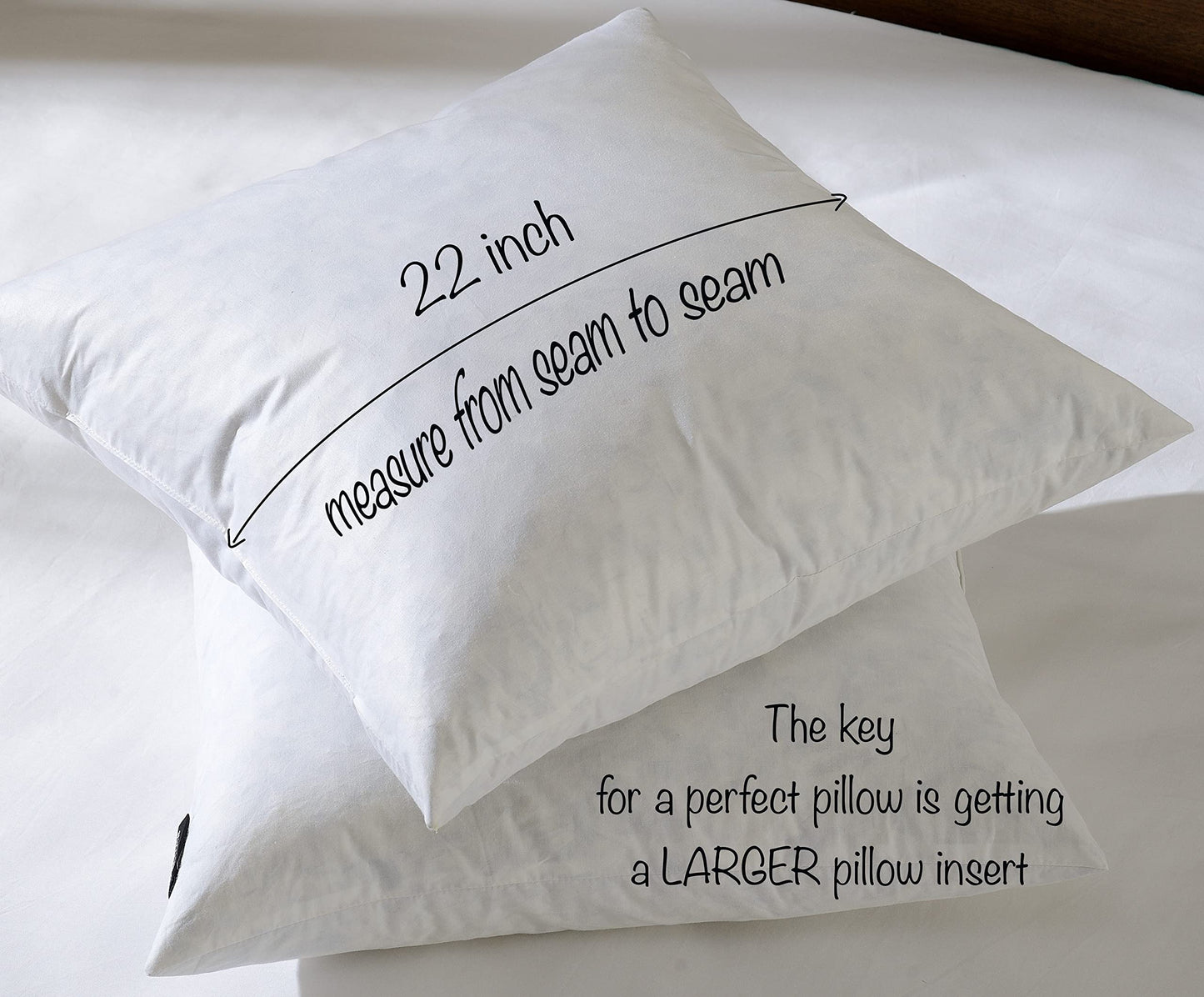 20x20 Pillow Inserts, 2-Pack