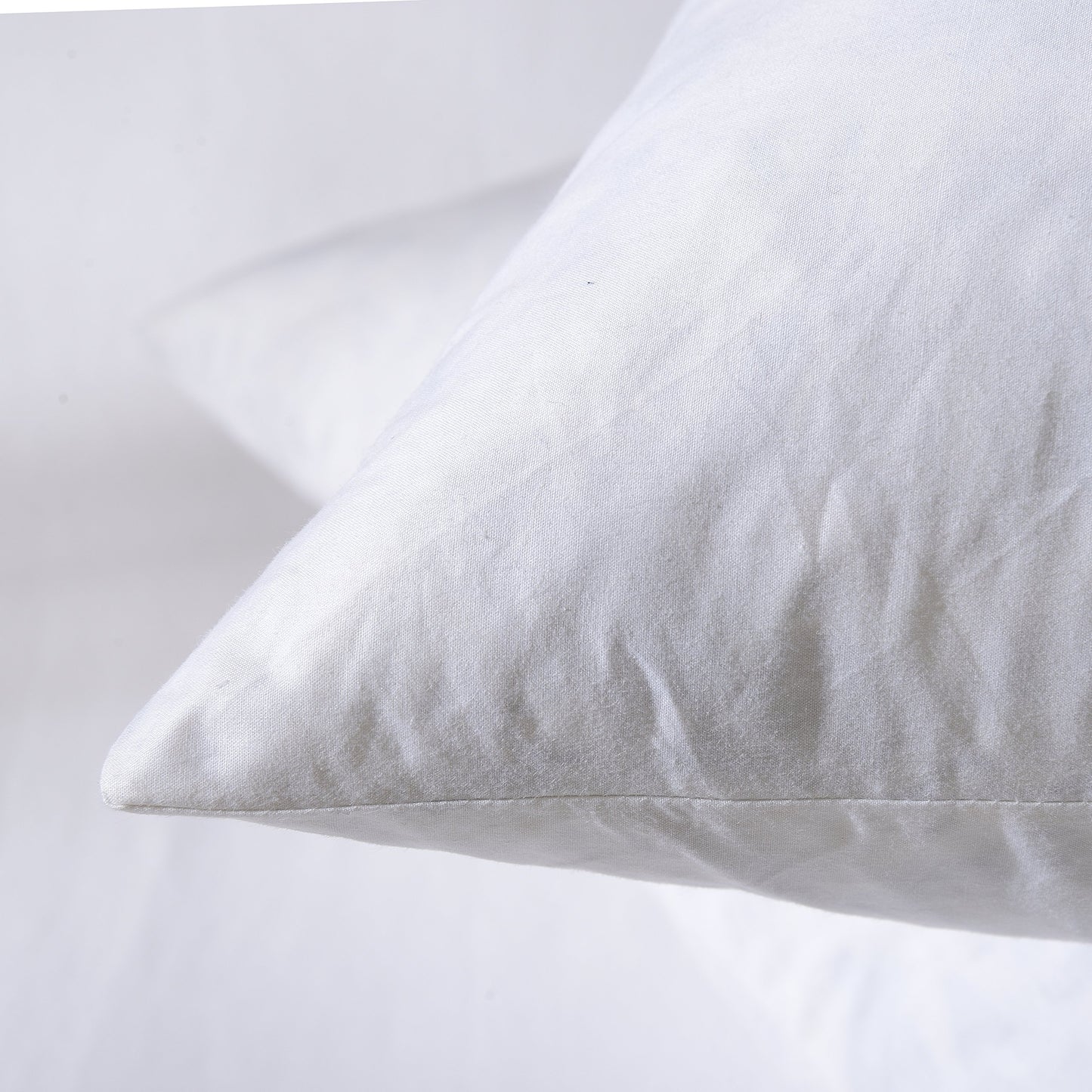 20x20 Pillow Inserts, 2-Pack